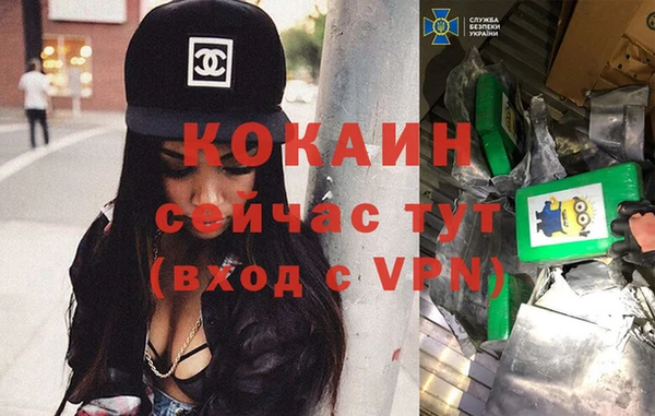 крисы Арсеньев