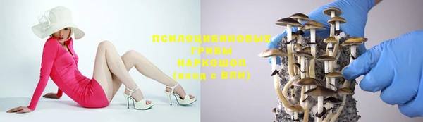 крисы Арсеньев