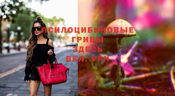 крисы Арсеньев