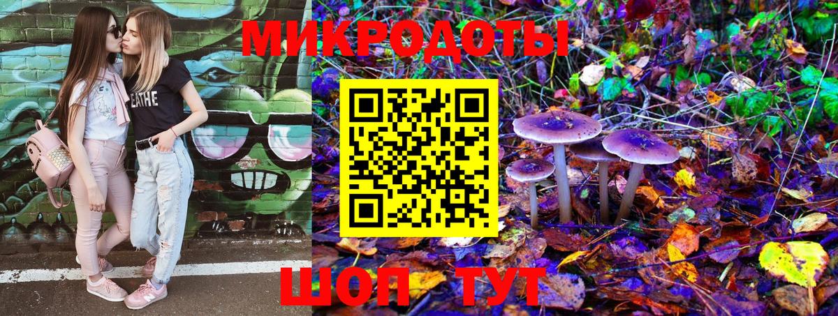 Светлоград  Псилоцибиновые грибы Psilocybine cubensis  Вход с VPN 